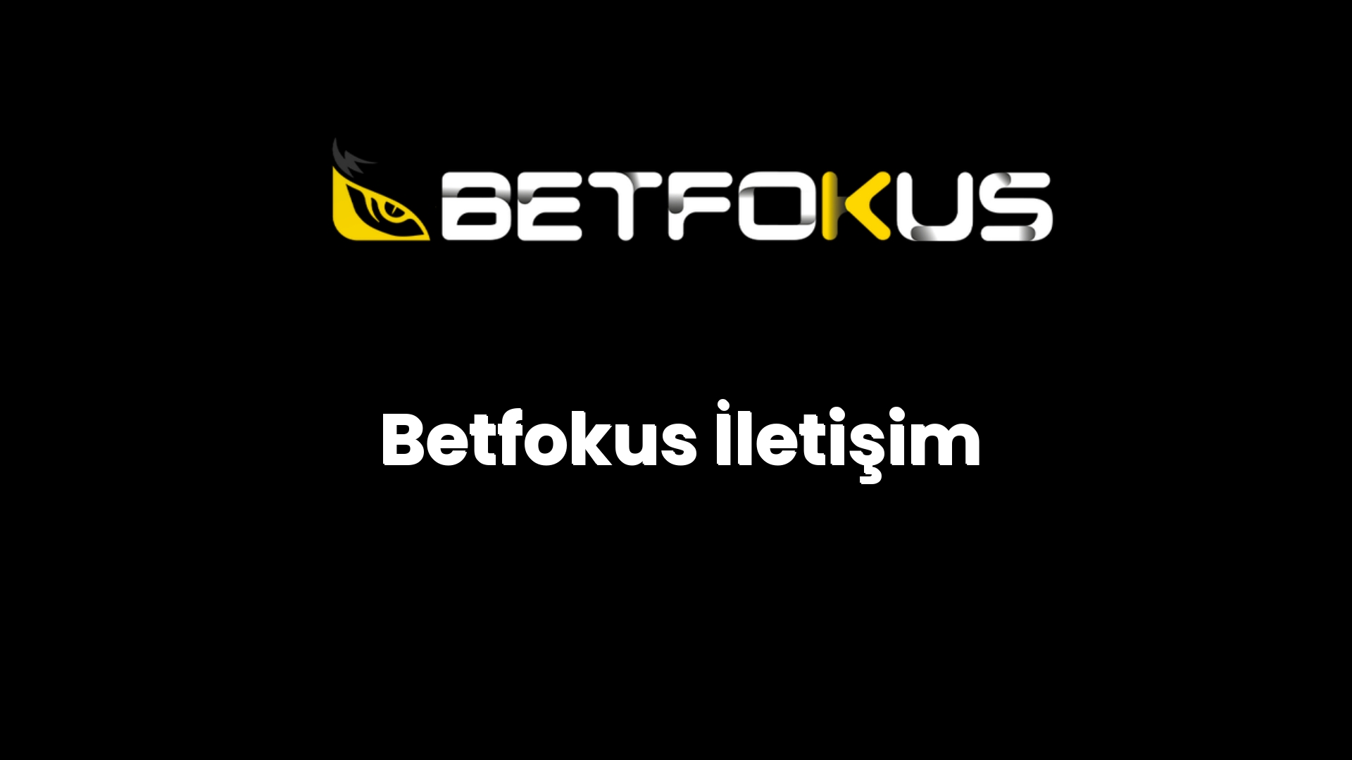 betfokus iletisim 73